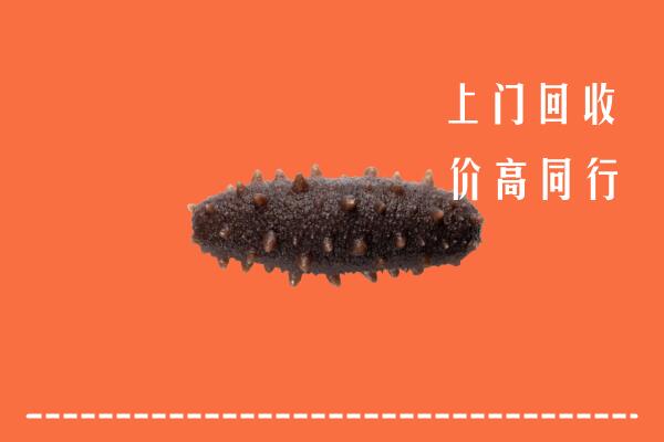 北京市东城回收海参