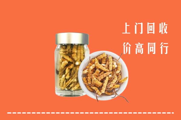 北京市东城回收冬虫夏草